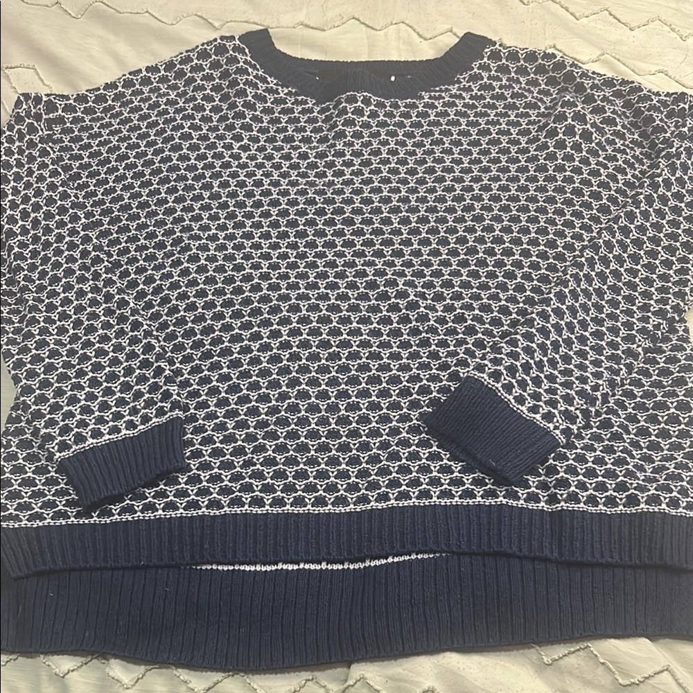 Forever 21 Blue and White Crew Neck Sweater